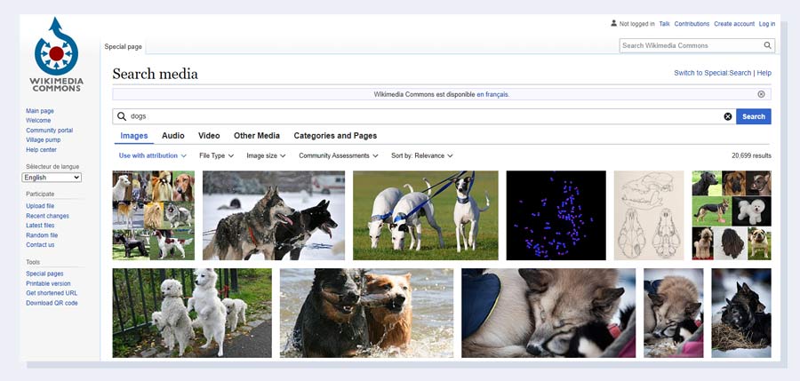 Wikimedia Commons